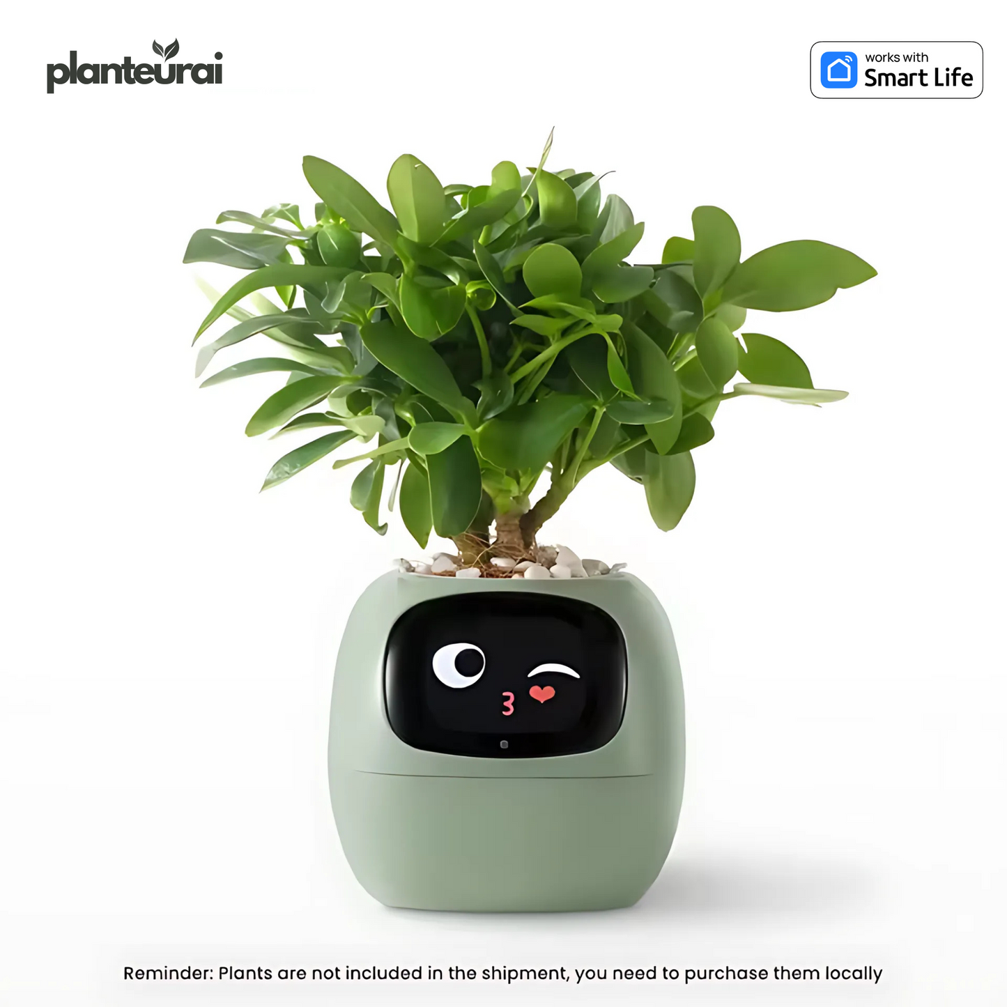 Plantuerai™ - AI Smart Planter